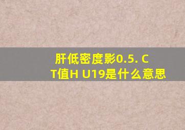 肝低密度影0.5. C T值H U19是什么意思